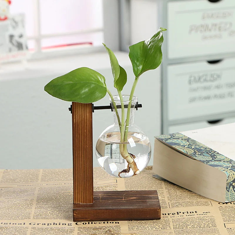 πΏ Creative Wooden Frame Hydroponic Vase β Where Nature Meets Art π