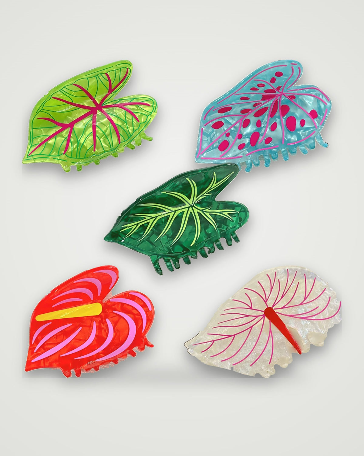 Painted leaf claw clips in all five designs: Lime Rosevein, Aqua Freckle, Jungle Ivory Vein, Scarlet Anthurium and Blush Anthurium on a light gray backdrop