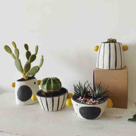 Handmade Ceramics Yellow Knob Planter Pot