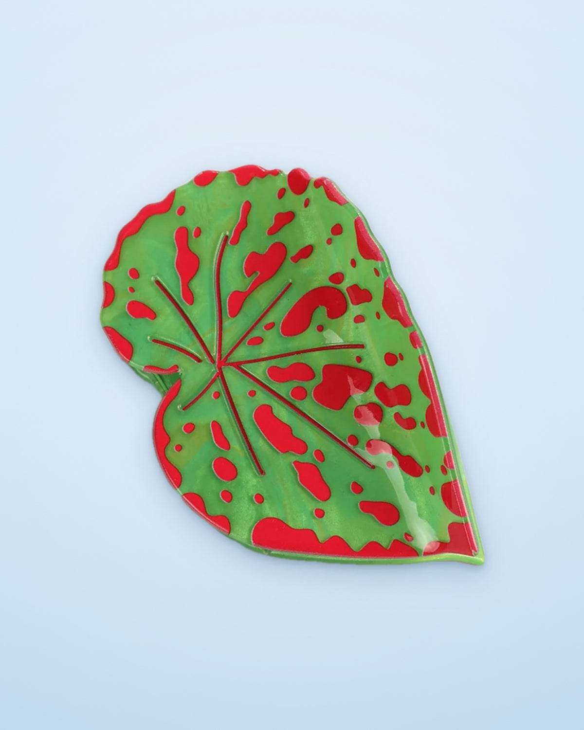 Red Splash Caladium leaf claw clip on a sky blue background