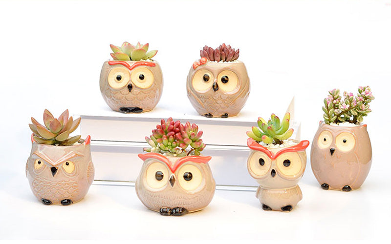 Hootiful Charm – Ceramic Owl Mini Flower Pot for Succulents & Cacti, Cute Décor for Home, Office, and Gifting 🦉🌱