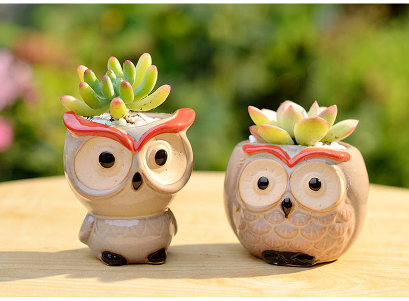 Hootiful Charm – Ceramic Owl Mini Flower Pot for Succulents & Cacti, Cute Décor for Home, Office, and Gifting 🦉🌱