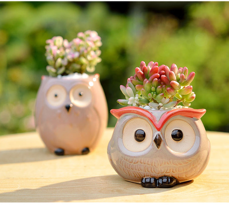 Hootiful Charm – Ceramic Owl Mini Flower Pot for Succulents & Cacti, Cute Décor for Home, Office, and Gifting 🦉🌱