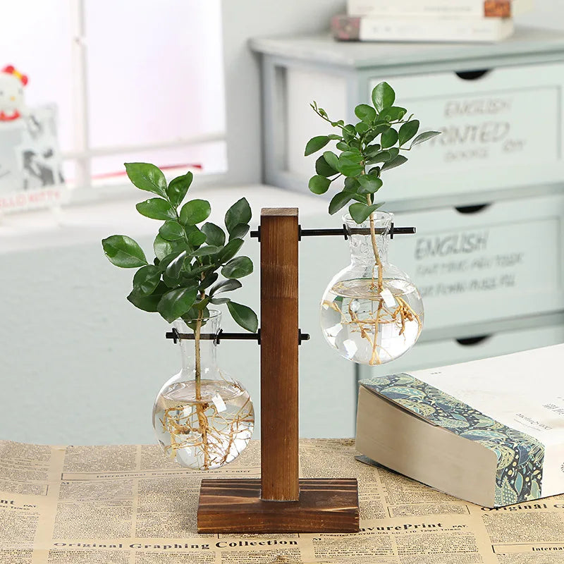 🌿 Creative Wooden Frame Hydroponic Vase – Where Nature Meets Art 🎍