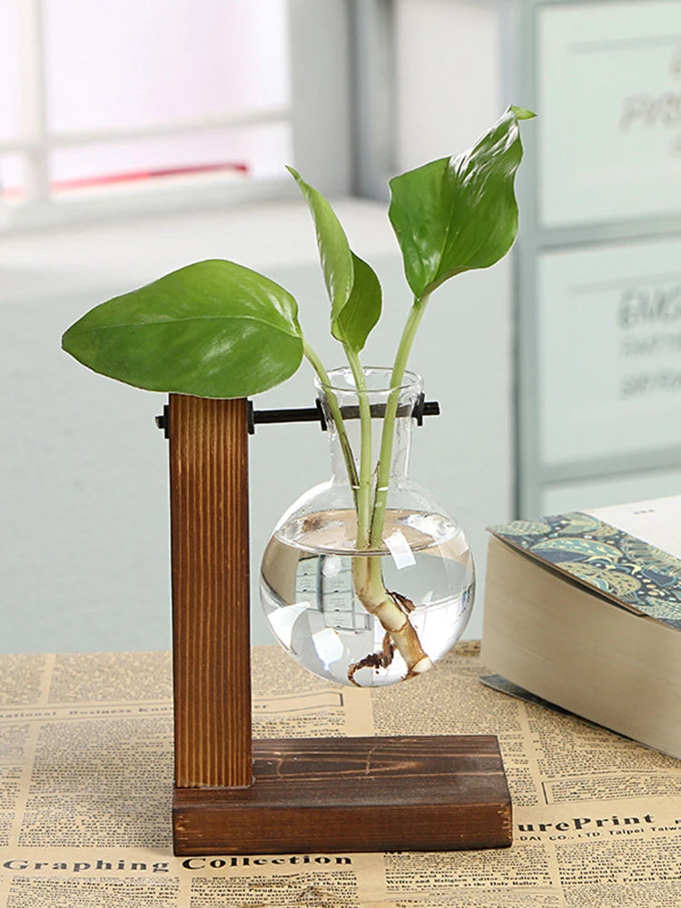 🌿 Creative Wooden Frame Hydroponic Vase – Where Nature Meets Art 🎍