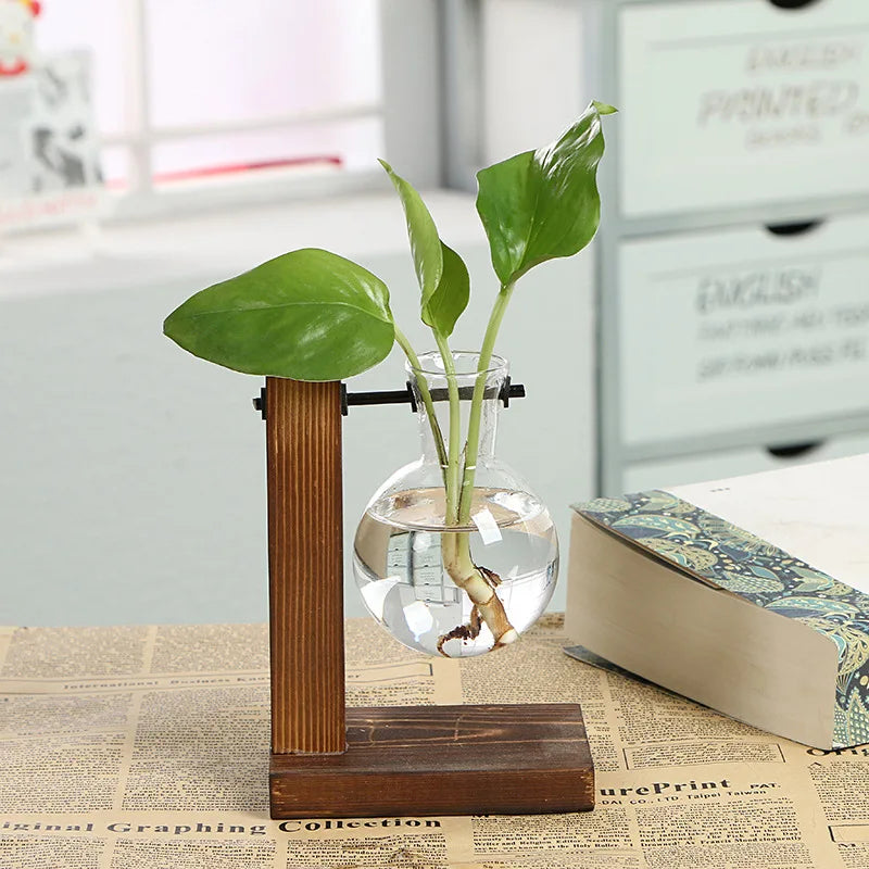 🌿 Creative Wooden Frame Hydroponic Vase – Where Nature Meets Art 🎍