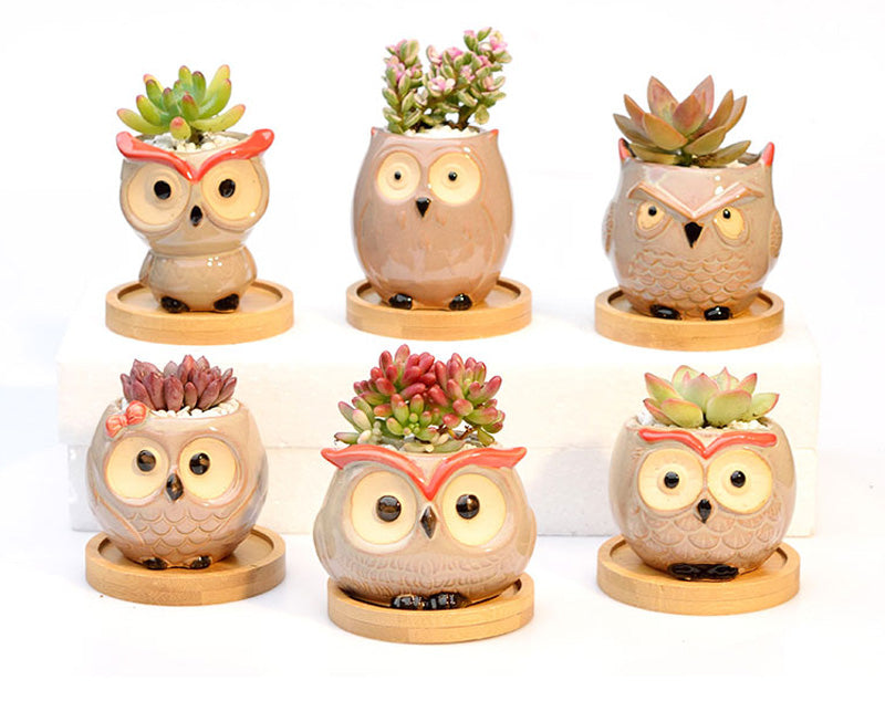 Hootiful Charm – Ceramic Owl Mini Flower Pot for Succulents & Cacti, Cute Décor for Home, Office, and Gifting 🦉🌱