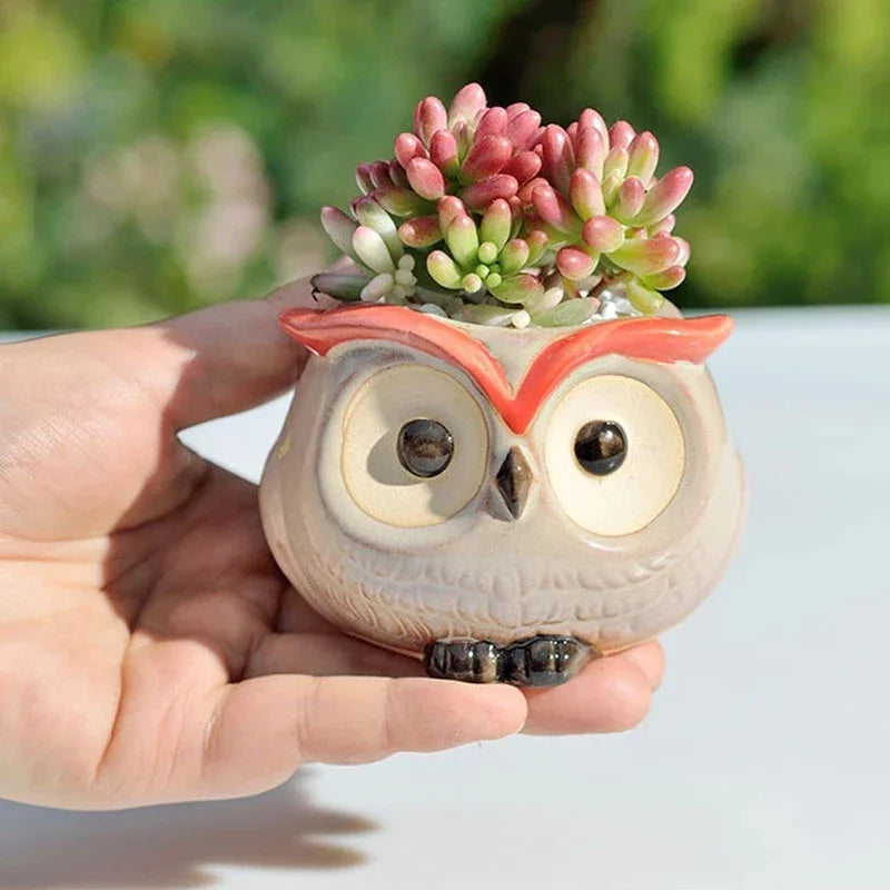 Hootiful Charm – Ceramic Owl Mini Flower Pot for Succulents & Cacti, Cute Décor for Home, Office, and Gifting 🦉🌱