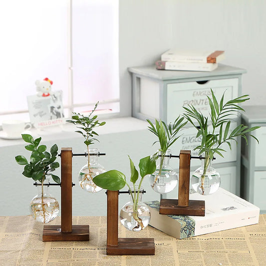 🌿 Creative Wooden Frame Hydroponic Vase – Where Nature Meets Art 🎍