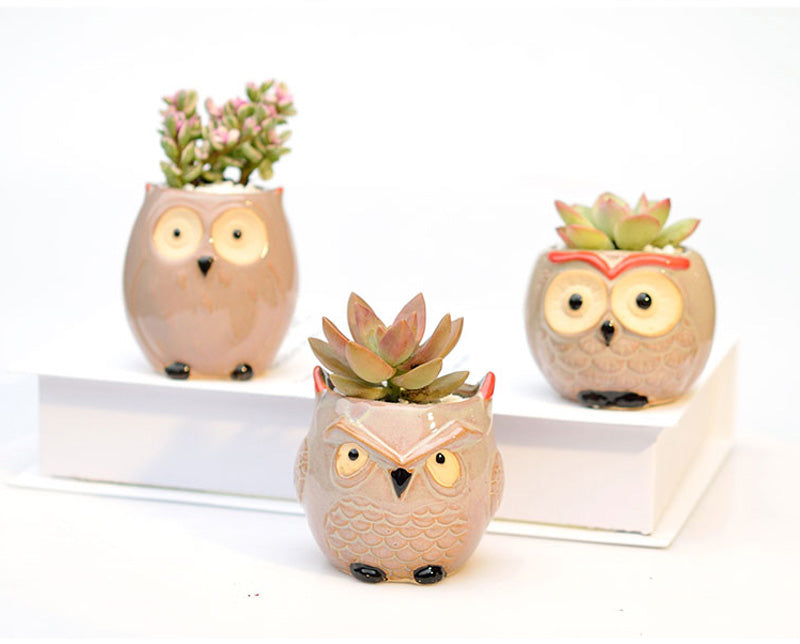 Hootiful Charm – Ceramic Owl Mini Flower Pot for Succulents & Cacti, Cute Décor for Home, Office, and Gifting 🦉🌱