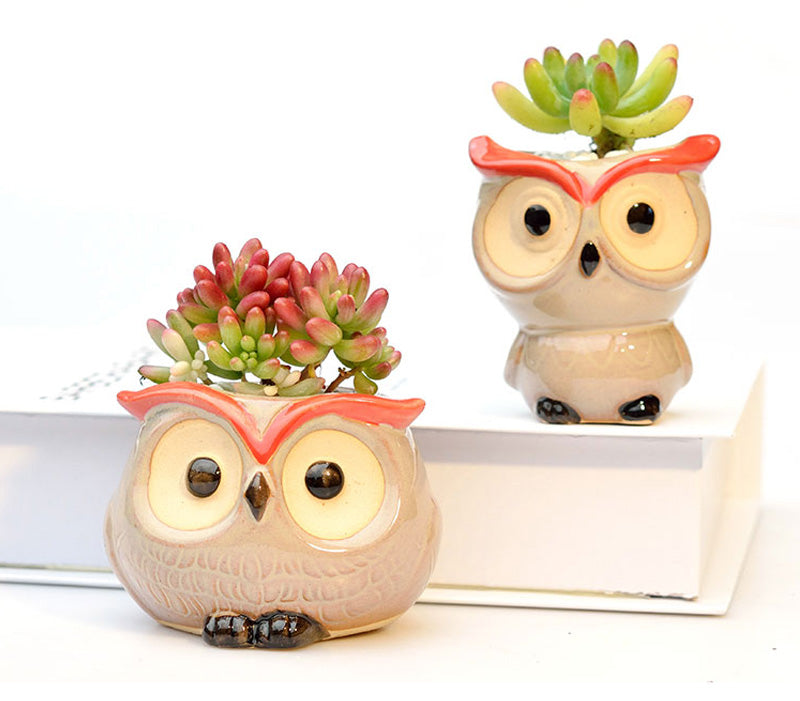 Hootiful Charm – Ceramic Owl Mini Flower Pot for Succulents & Cacti, Cute Décor for Home, Office, and Gifting 🦉🌱