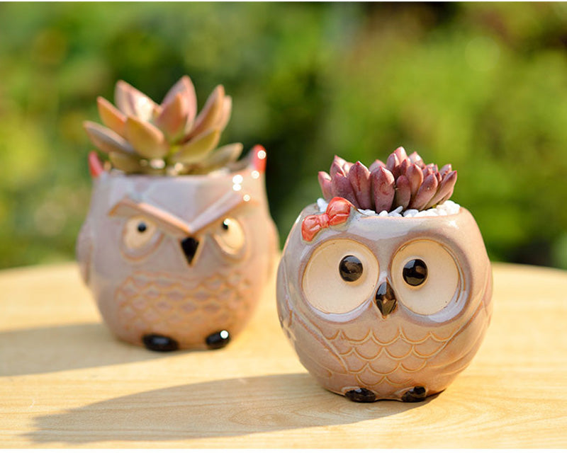 Hootiful Charm – Ceramic Owl Mini Flower Pot for Succulents & Cacti, Cute Décor for Home, Office, and Gifting 🦉🌱