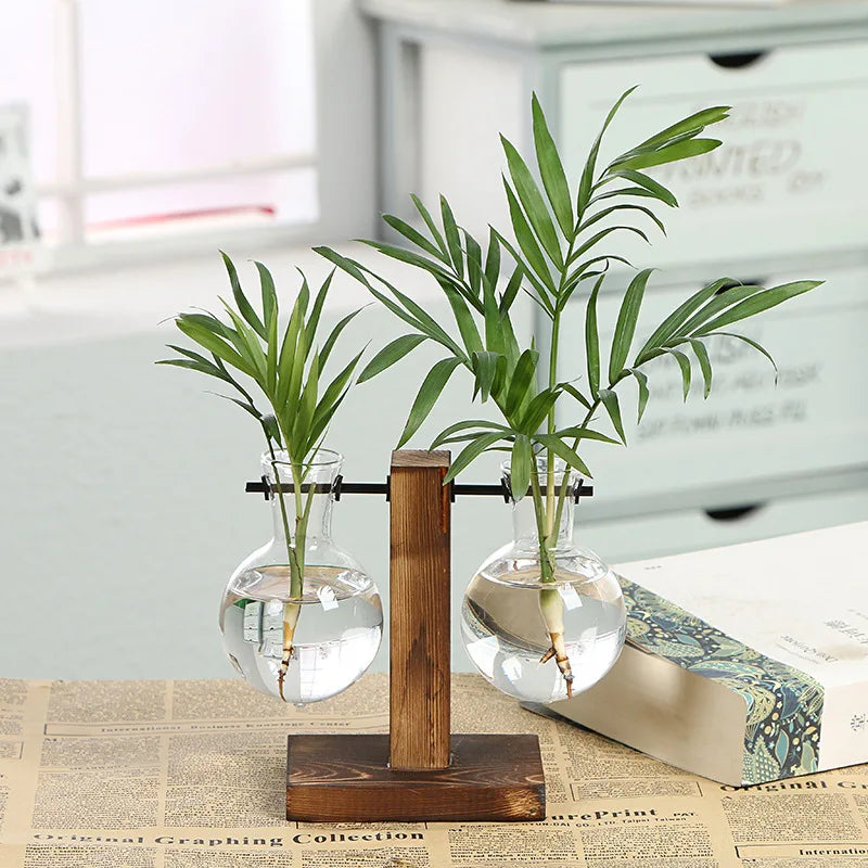 🌿 Creative Wooden Frame Hydroponic Vase – Where Nature Meets Art 🎍