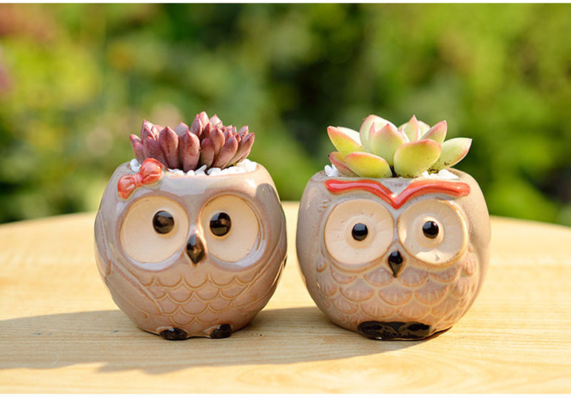 Hootiful Charm – Ceramic Owl Mini Flower Pot for Succulents & Cacti, Cute Décor for Home, Office, and Gifting 🦉🌱