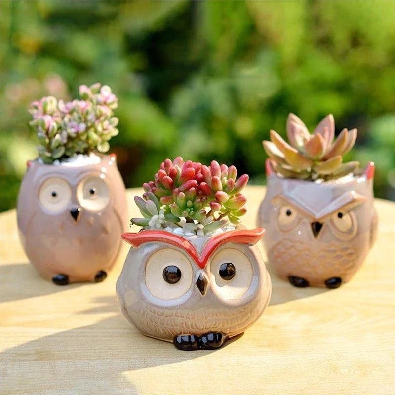 Hootiful Charm – Ceramic Owl Mini Flower Pot for Succulents & Cacti, Cute Décor for Home, Office, and Gifting 🦉🌱