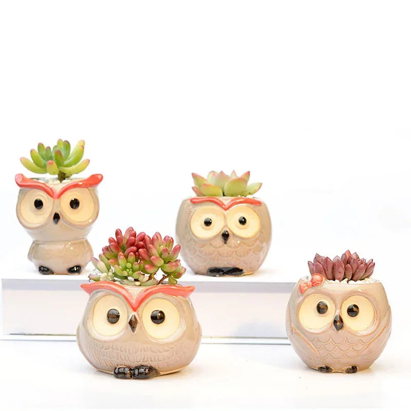 Hootiful Charm – Ceramic Owl Mini Flower Pot for Succulents & Cacti, Cute Décor for Home, Office, and Gifting 🦉🌱