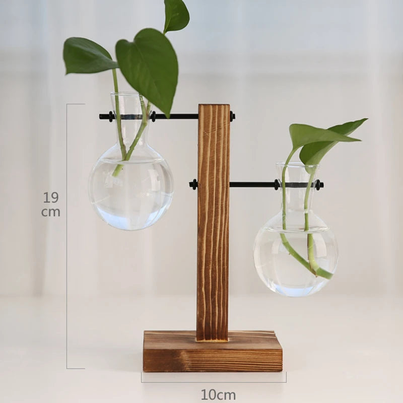 🌿 Creative Wooden Frame Hydroponic Vase – Where Nature Meets Art 🎍