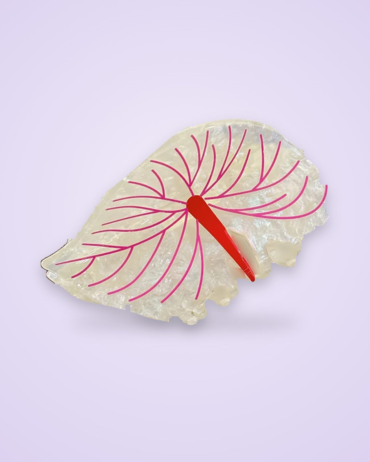 Blush Anthurium pearly white anthurium claw clip with pink veins and red spadix