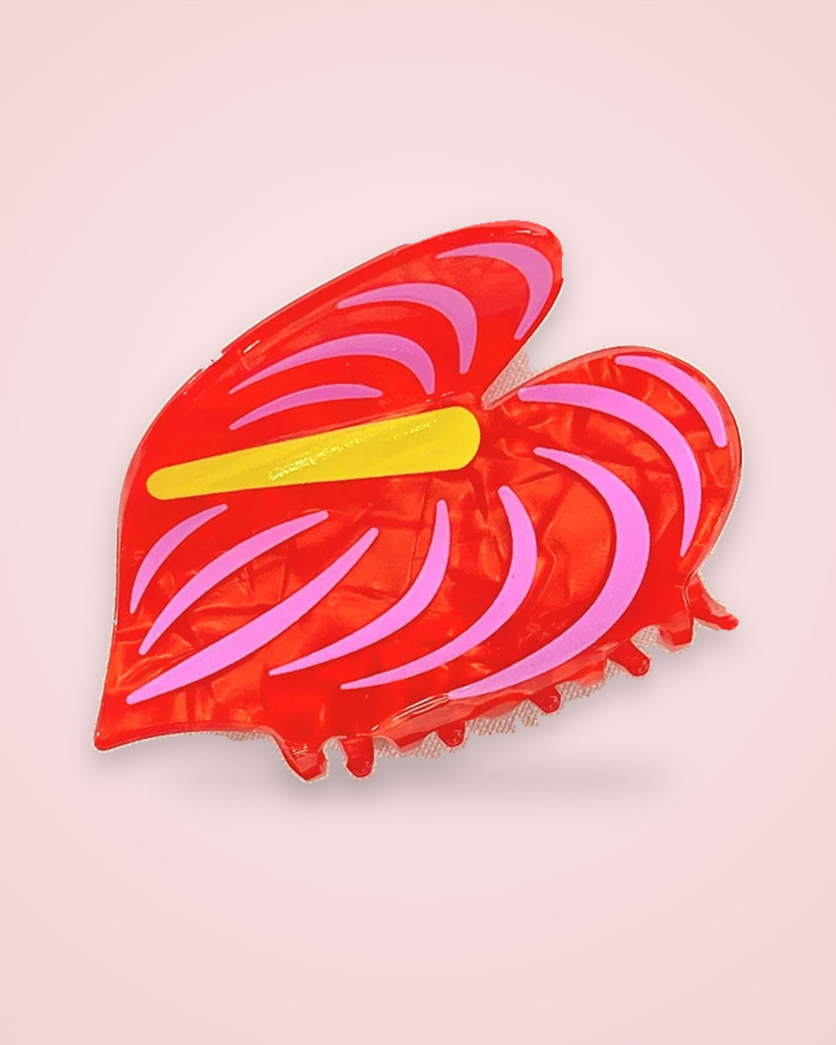 Scarlet Anthurium red anthurium claw clip with pink stripes and yellow spadix